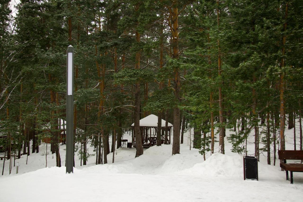 Park House Hotel Barmashino Eksteriør billede